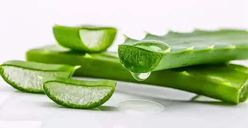 Does Aloe Vera Extract Powder promote hair growth?